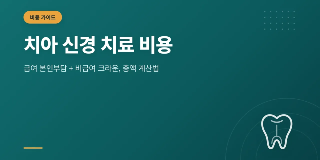 치아 신경 치료 비용