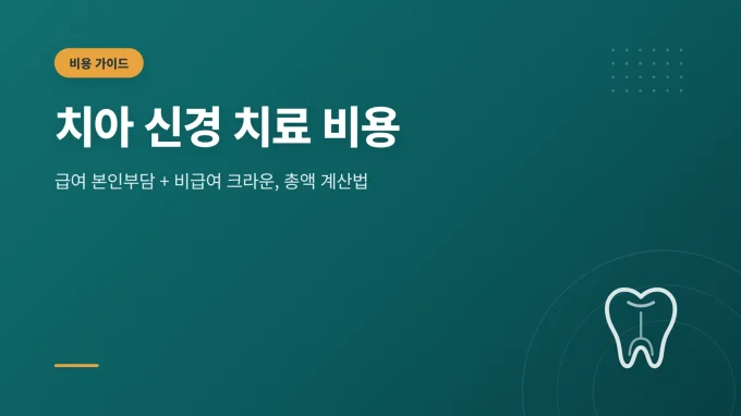 치아 신경 치료 비용
