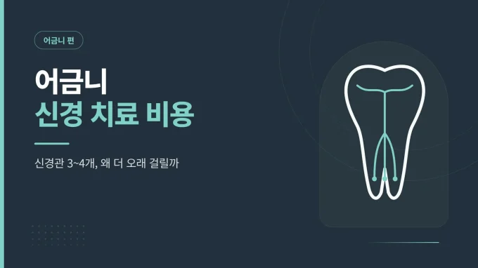 어금니 신경 치료 비용